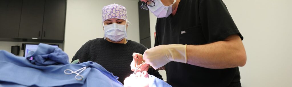 christmas plastic surgery